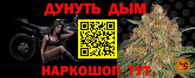 кокс Нальчик