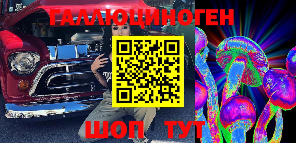 Псилоцибиновые грибы Psilocybe  Вход с VPN  Псилоцибиновые грибы Magic Shrooms  купить   Северск 